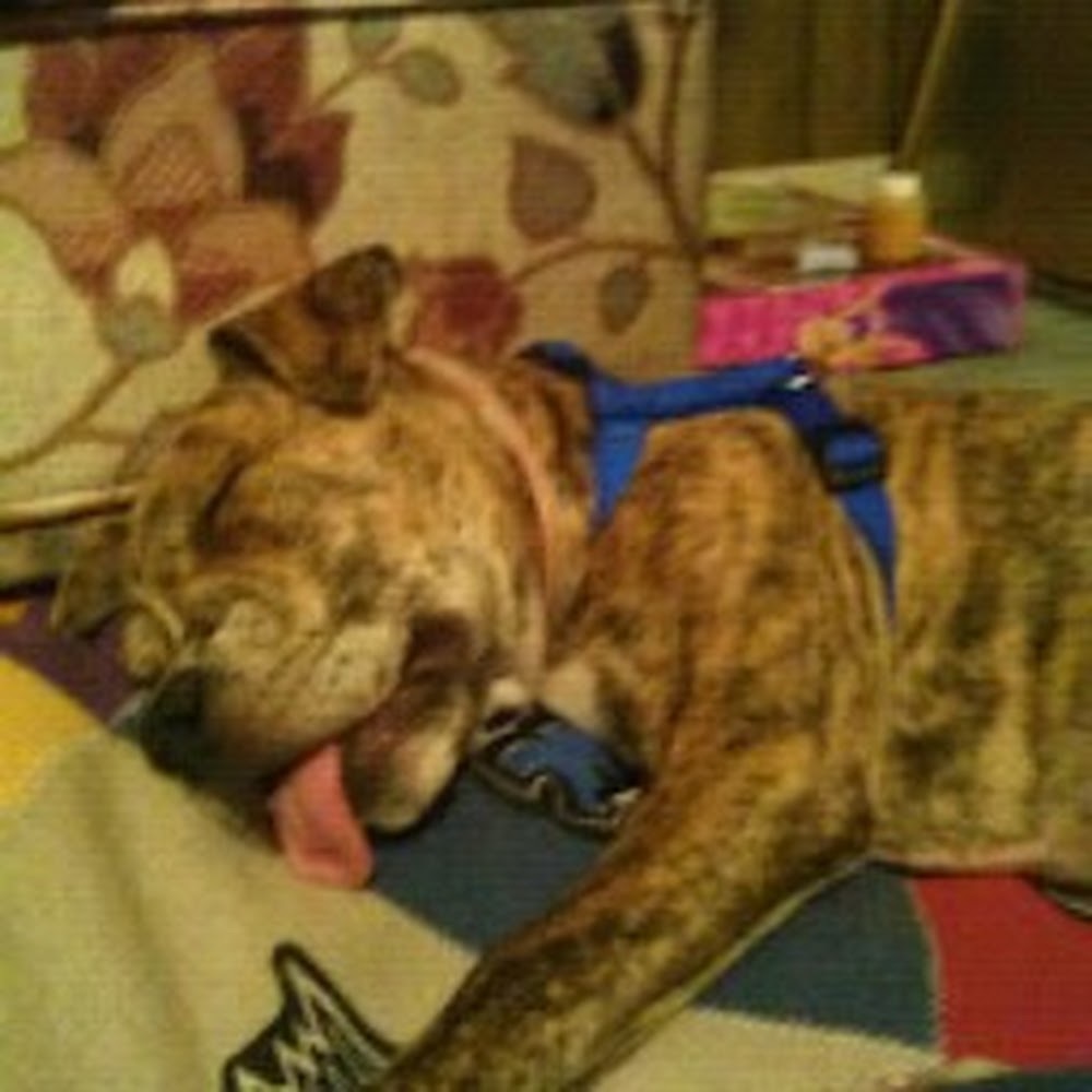 Meet your Posher, Heru